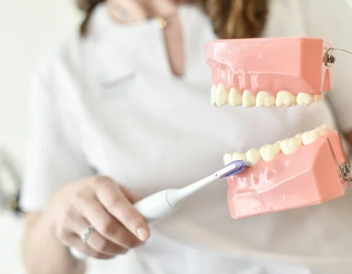 Dentalhygiene: Eine Zahnbehandlung vom Profi.